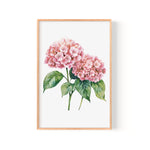 A framed watercolor painting of two pink hydrangea flowers with green leaves.