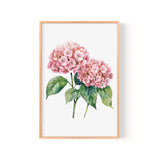 A framed watercolor painting of two pink hydrangea flowers with green leaves.