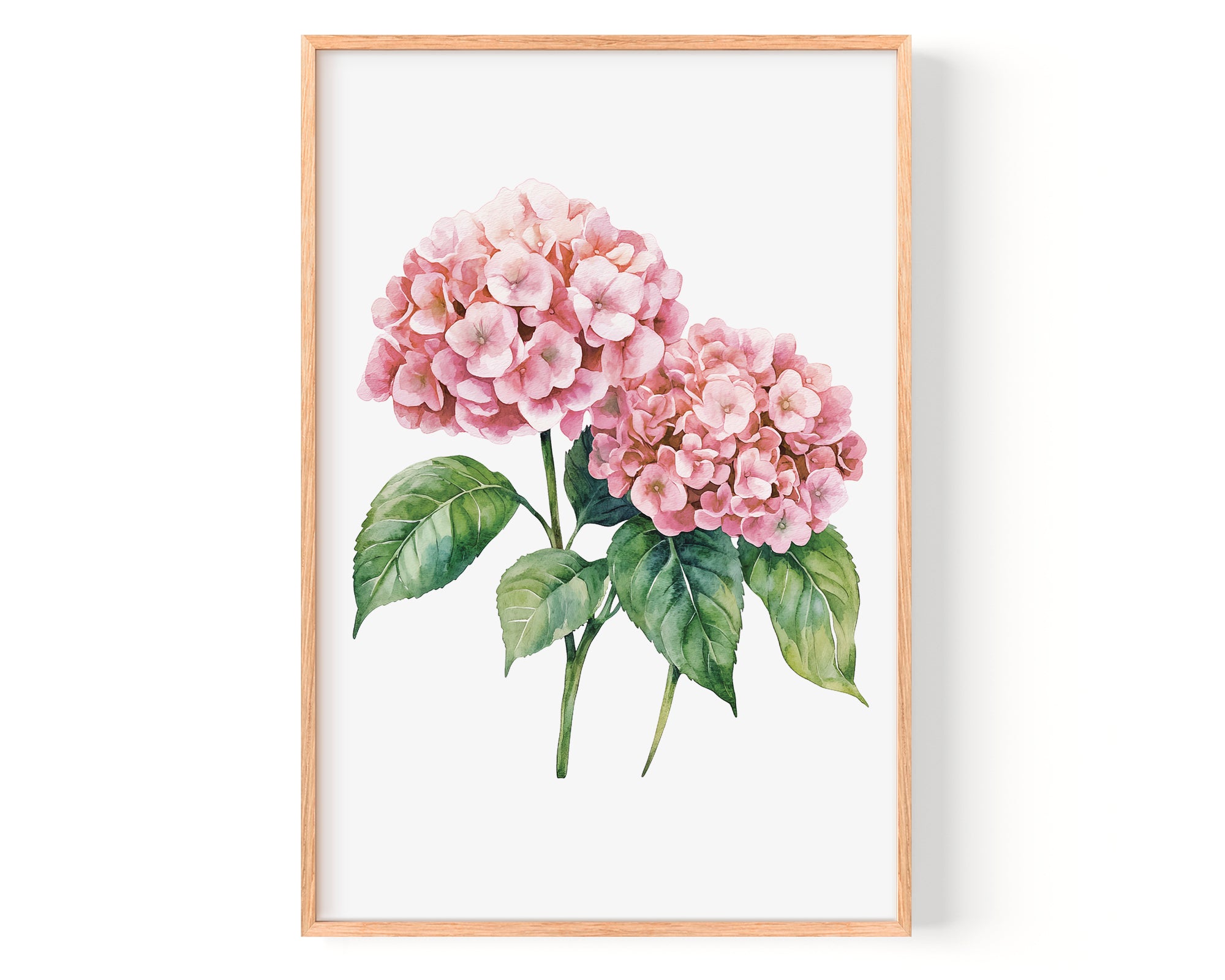 A framed watercolor painting of two pink hydrangea flowers with green leaves.