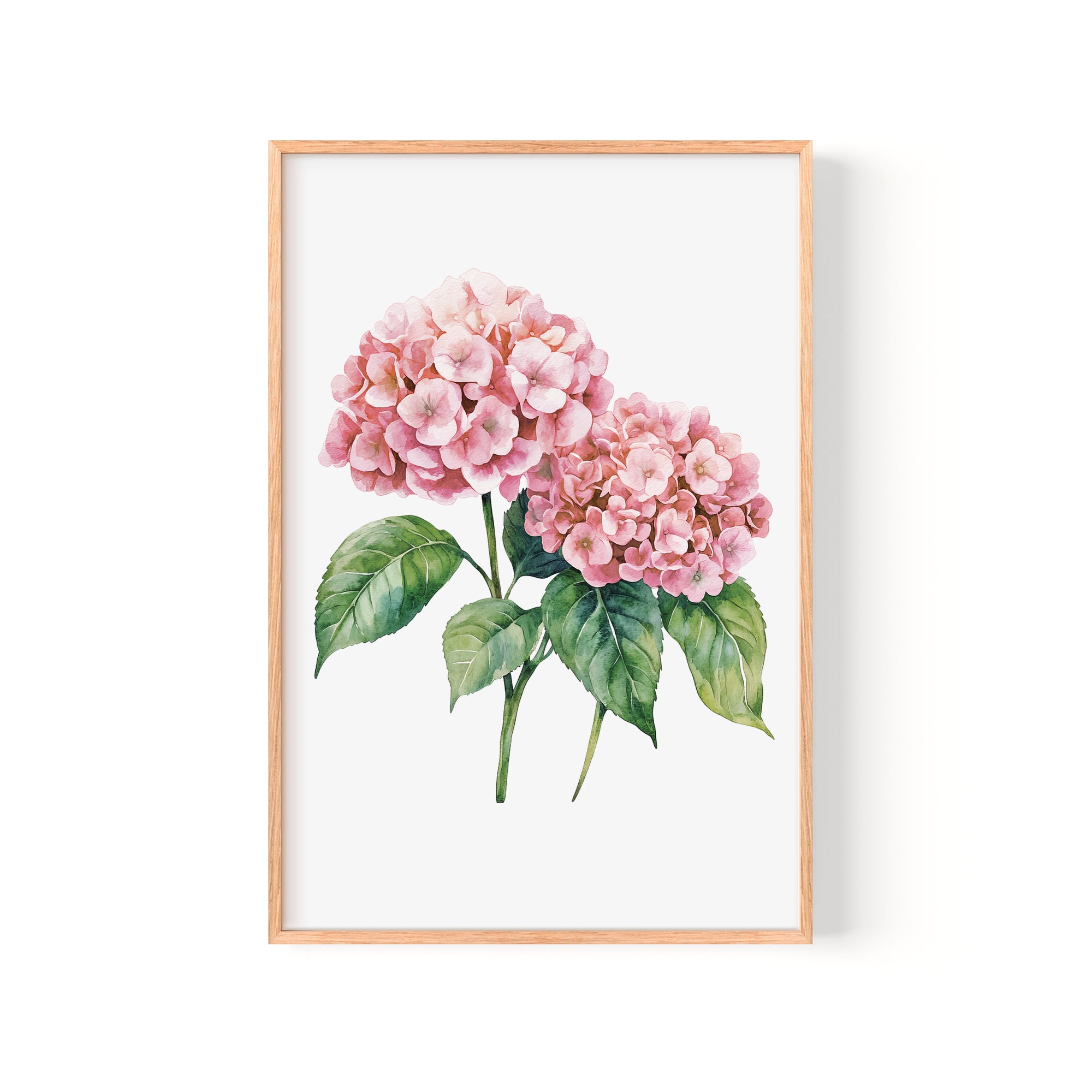 A framed watercolor painting of two pink hydrangea flowers with green leaves.