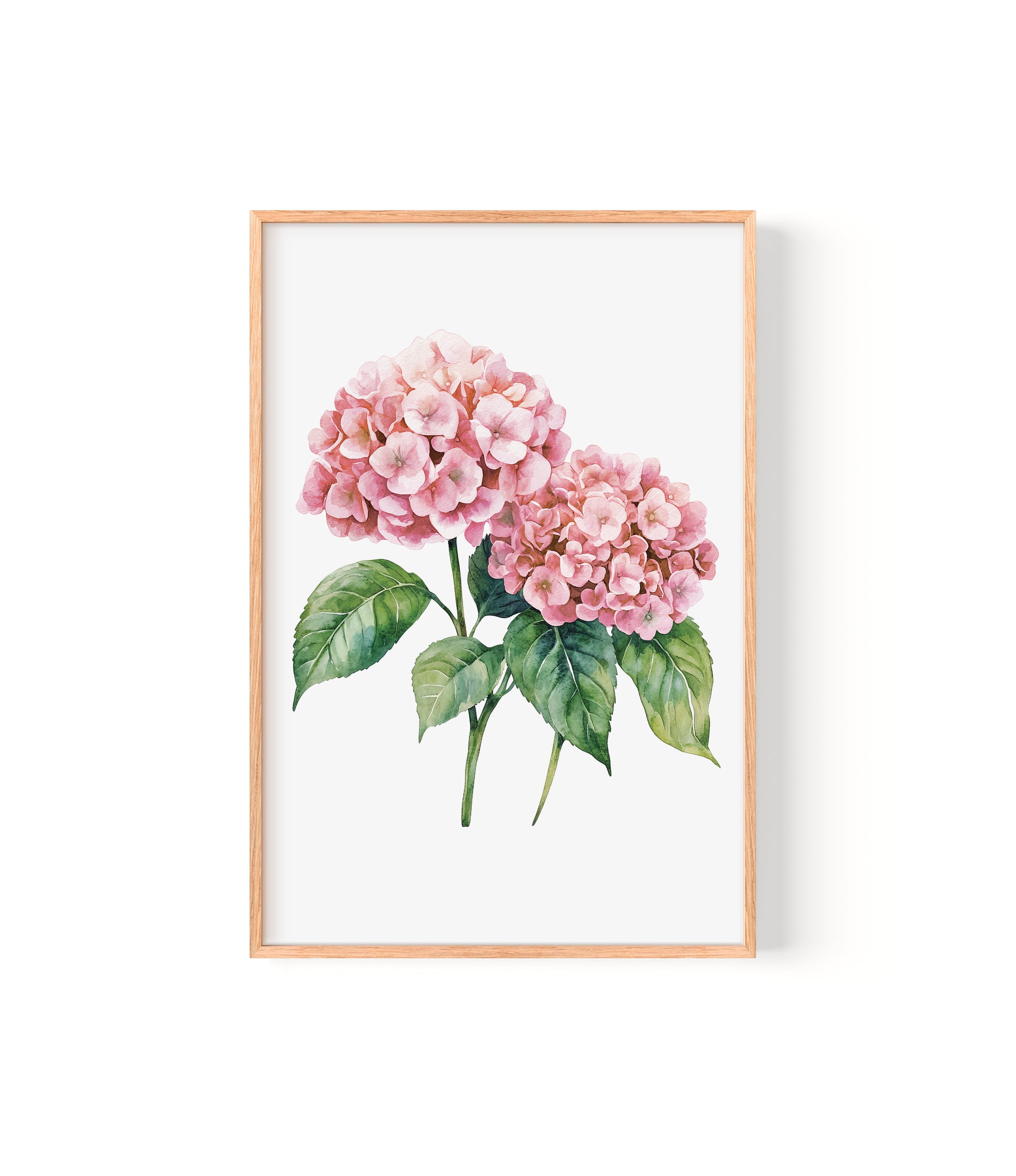 A framed watercolor painting of two pink hydrangea flowers with green leaves.