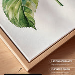 a close-up view of a watercolor painting of a green leaf on a white background, with a wooden frame around it.