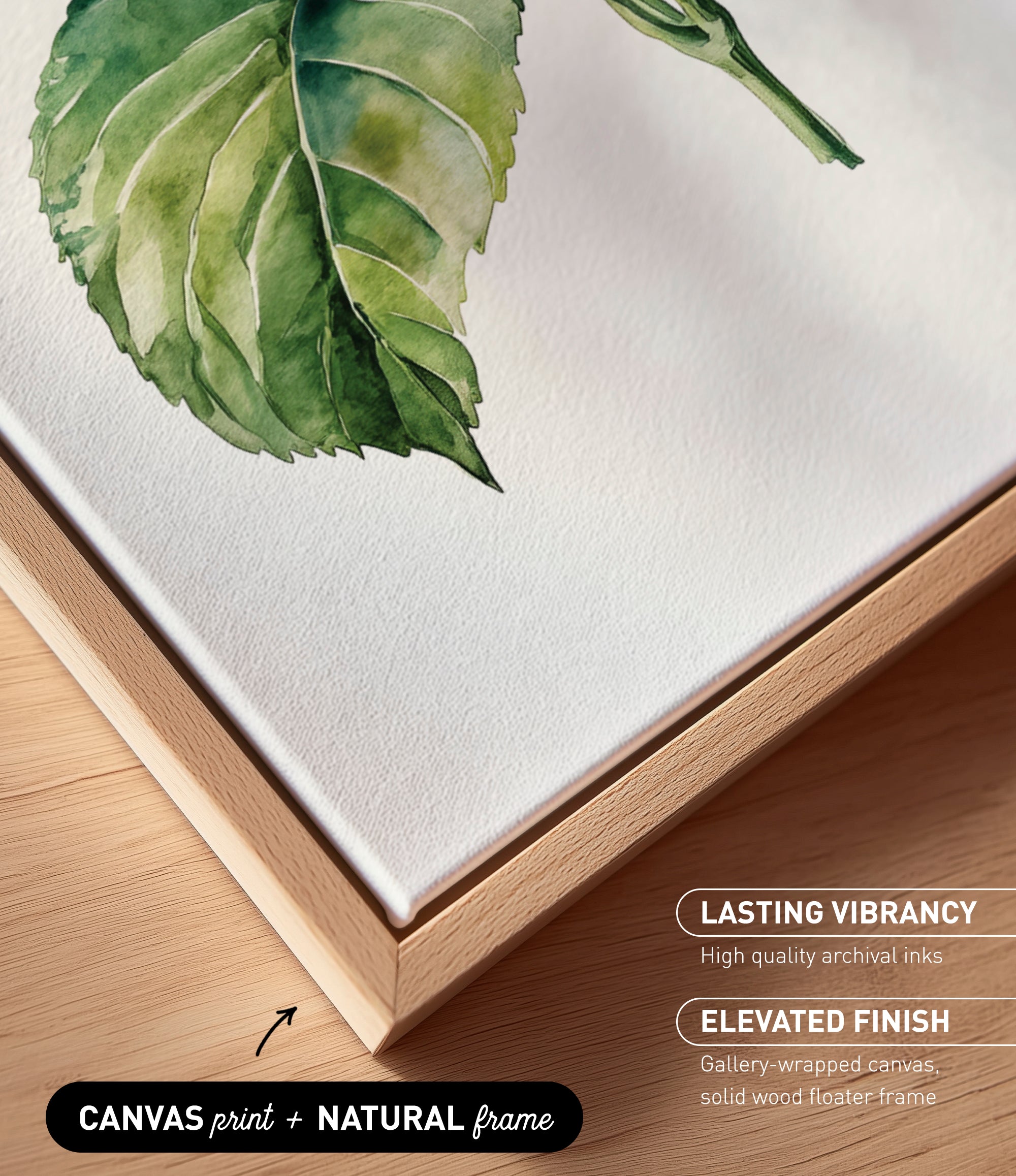 a close-up view of a watercolor painting of a green leaf on a white background, with a wooden frame around it.