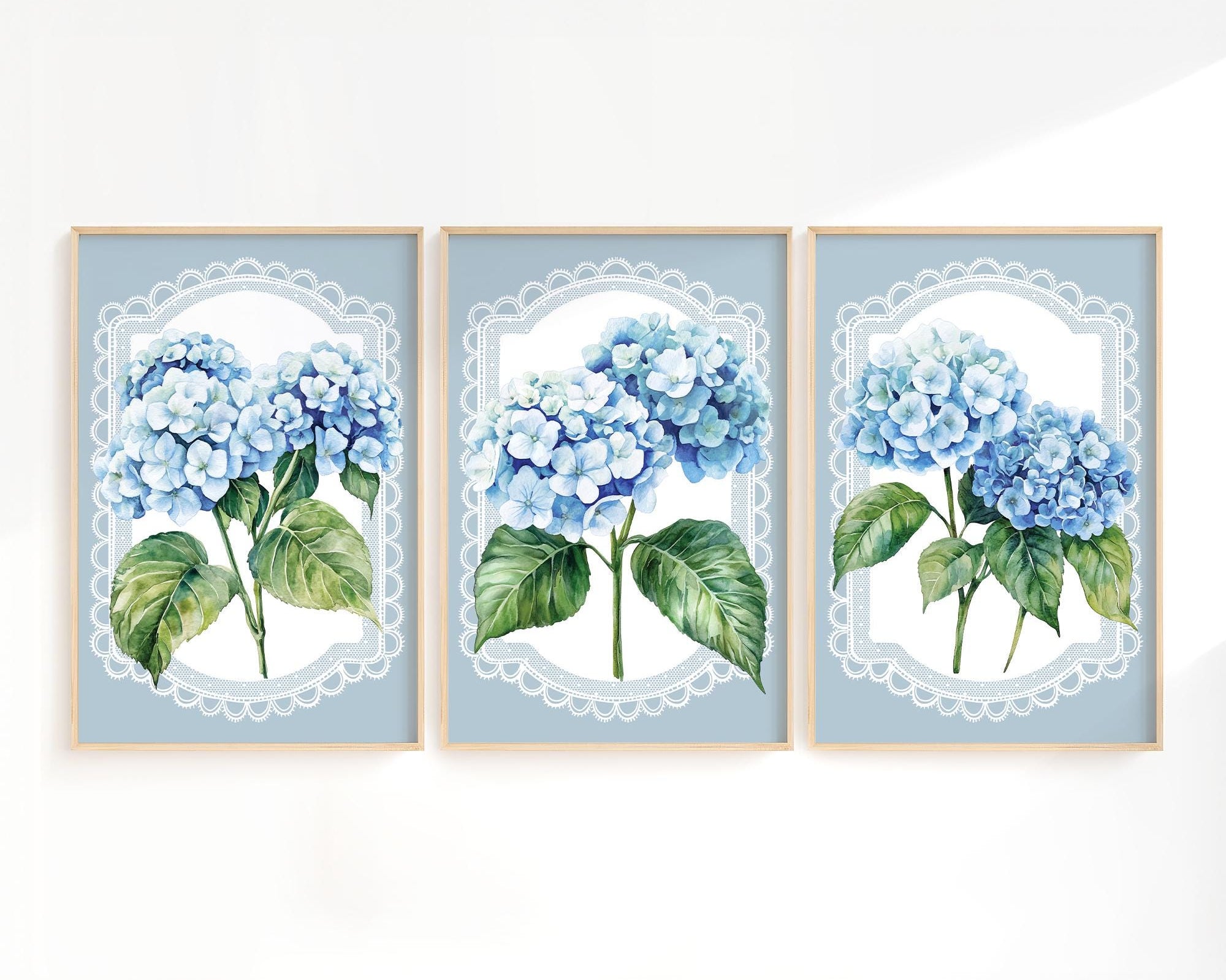 three framed watercolor paintings of blue hydrangea flowers, each with a white lace border.