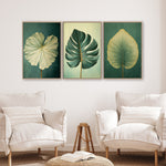 a living room with three framed paintings of leaves hanging on the wall above two white armchairs.