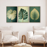 a living room with three framed paintings of leaves hanging on the wall above two white armchairs.