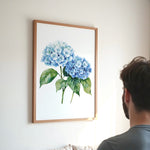 A framed watercolor painting of blue hydrangeas hangs on a white wall, with a person standing in the foreground looking at the artwork.