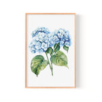 A framed watercolor painting depicting a cluster of blue hydrangea flowers with green leaves.