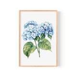 A framed watercolor painting depicting a cluster of blue hydrangea flowers with green leaves.