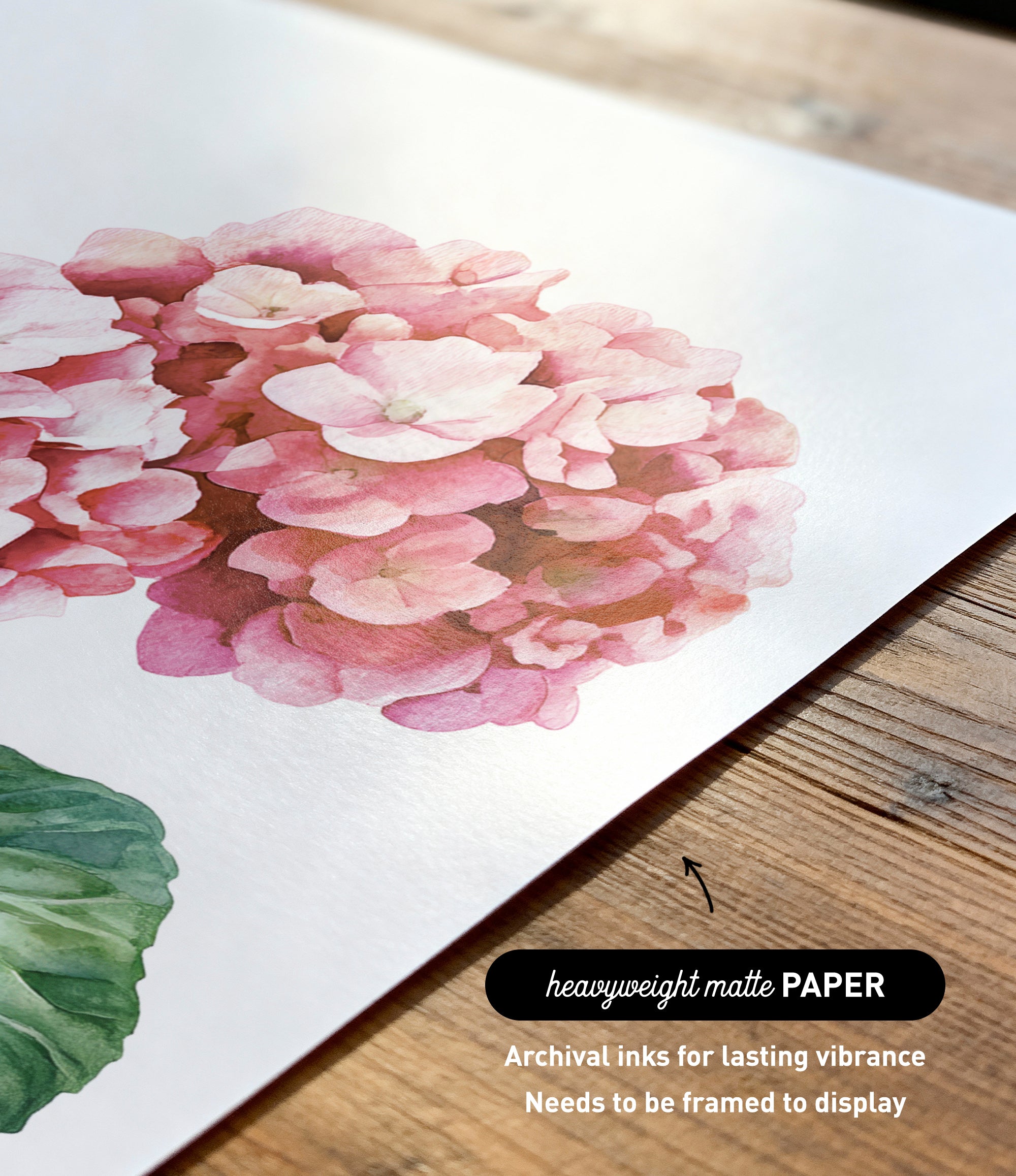 a close-up of a watercolor painting of a pink flower on a white background.