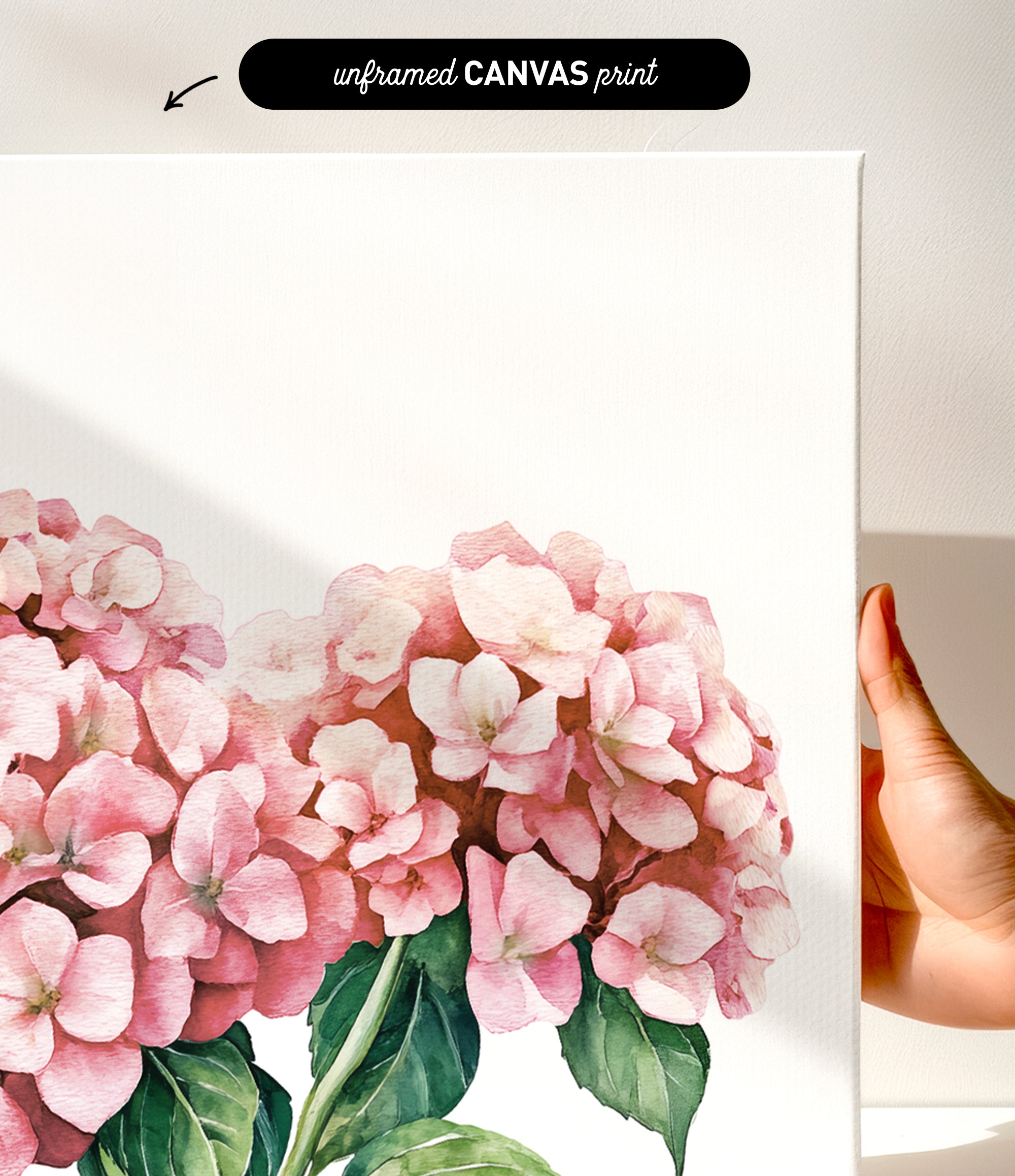 a close-up of a painting of pink hydrangea flowers on a white background.