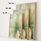 three framed prints of a large green leaf, each with a different size and frame. The prints are arranged in a row, with the largest one being 24 x 36 inches, the medium one being 20 x 30 inches, and the smallest one being 16 x 24 inches.