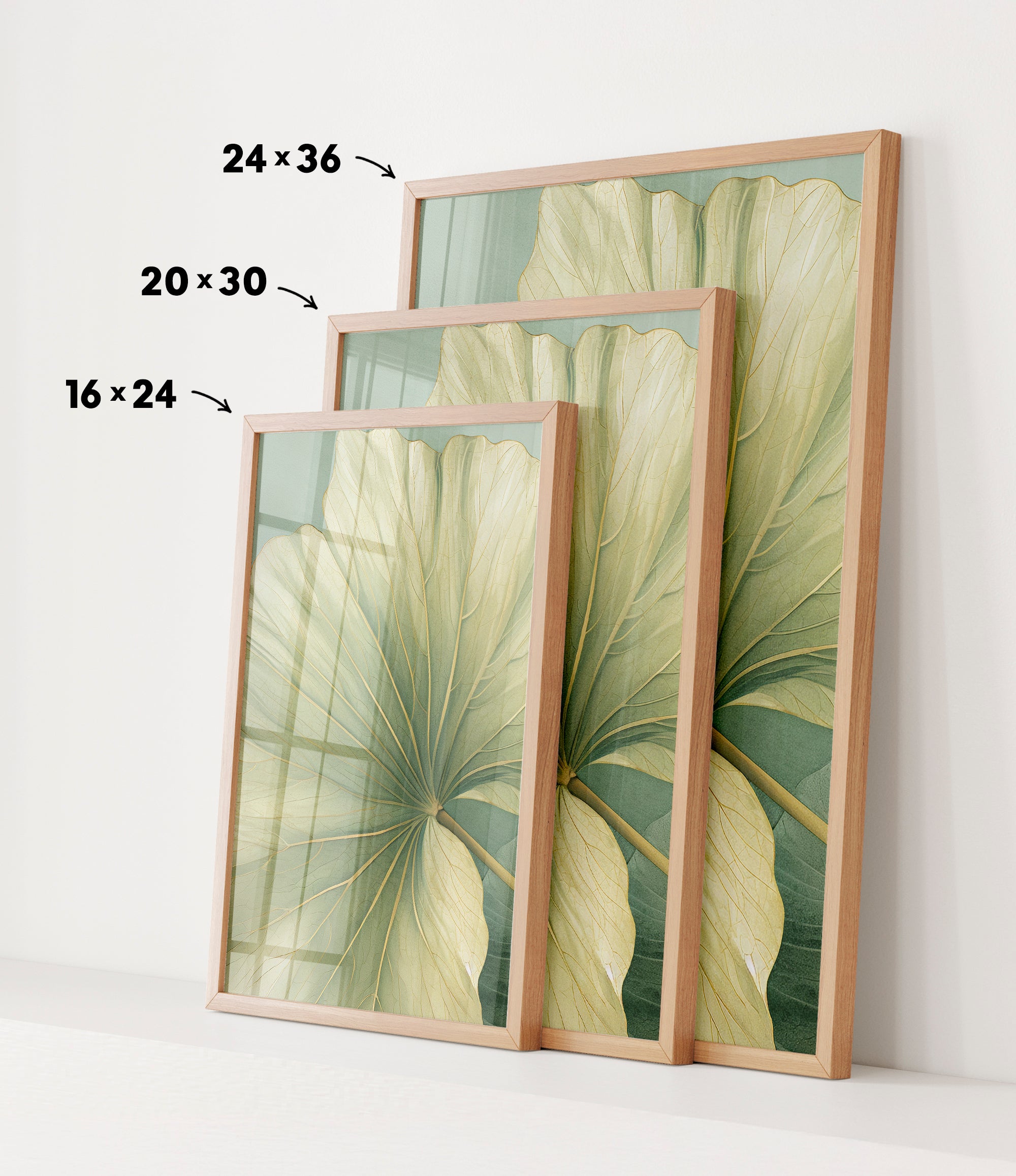 three framed prints of a large green leaf, each with a different size and frame. The prints are arranged in a row, with the largest one being 24 x 36 inches, the medium one being 20 x 30 inches, and the smallest one being 16 x 24 inches.