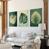 a modern living room with a white sofa, a coffee table, and three framed prints of tropical leaves on the wall.
