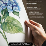 The image is a collage of various watercolor paintings, including a close-up of a blue hydrangea flower and a hand holding a piece of paper with a framed print of a blue hydrangea flower.