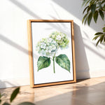 A framed watercolor painting of a white hydrangea flower is displayed on a wooden floor, with a plant visible in the background.