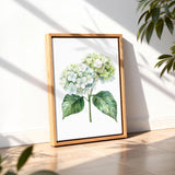 A framed watercolor painting of a white hydrangea flower is displayed on a wooden floor, with a plant visible in the background.