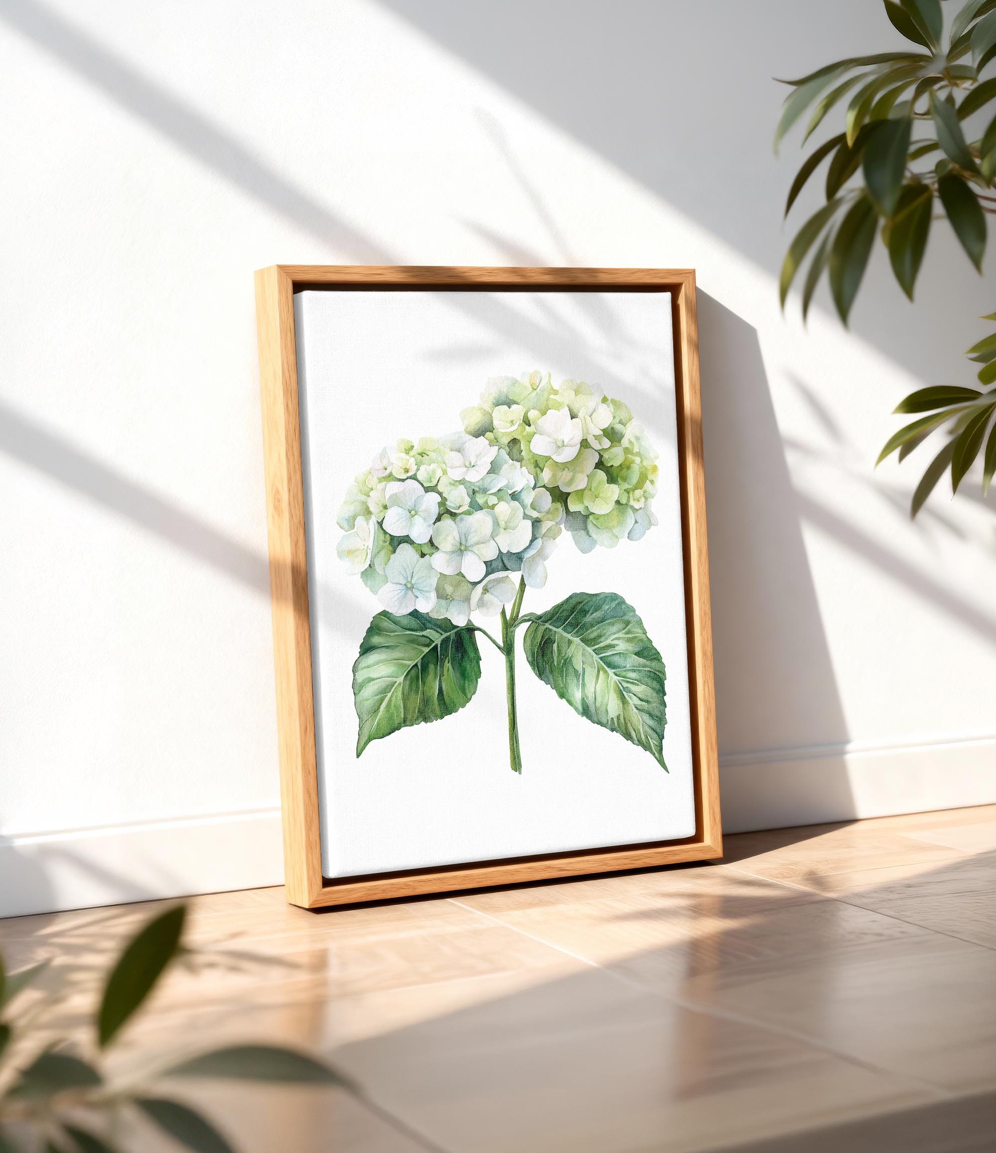A framed watercolor painting of a white hydrangea flower is displayed on a wooden floor, with a plant visible in the background.