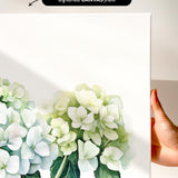 a hand holding a white canvas print with a watercolor painting of white hydrangea flowers.