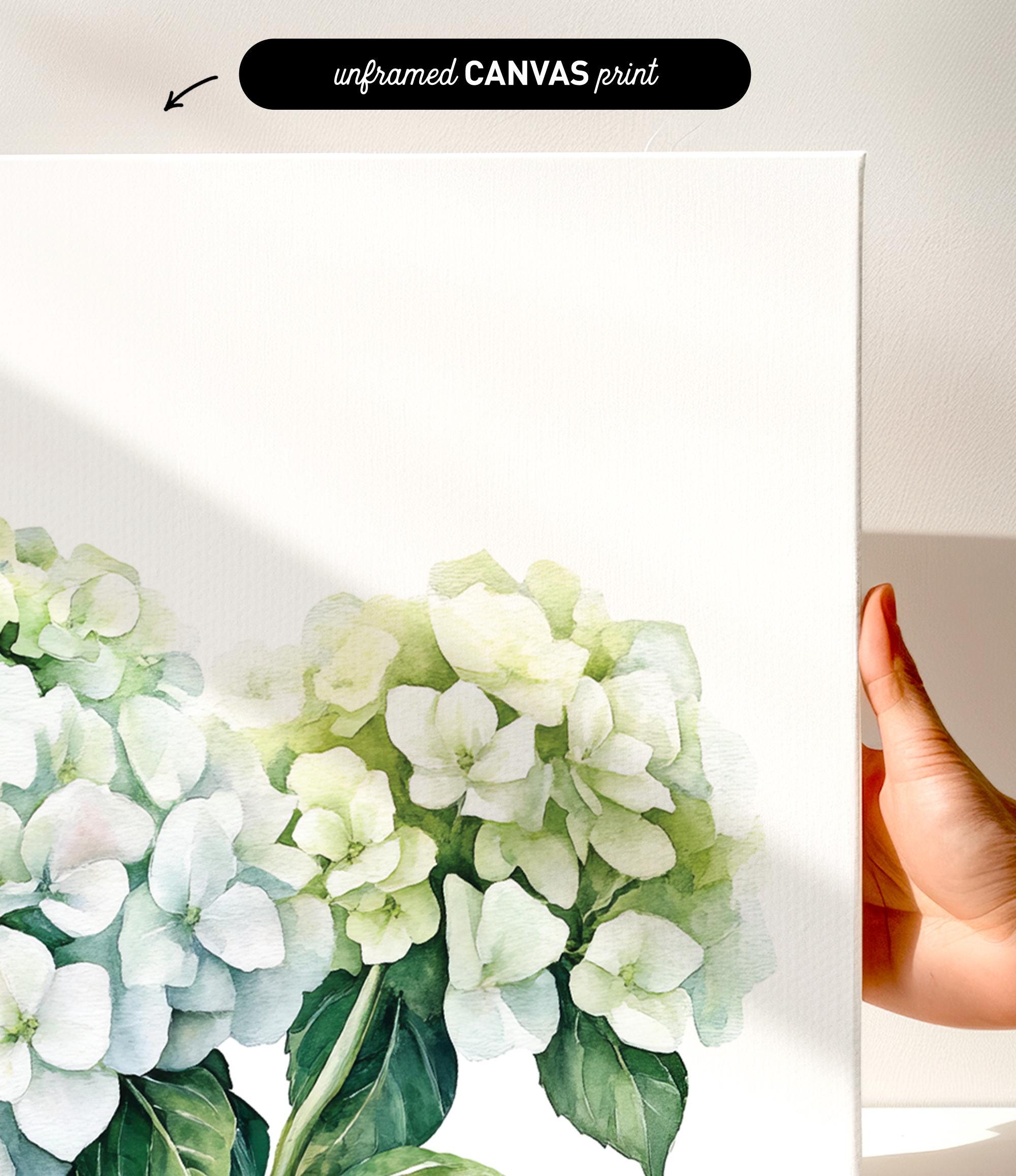 a hand holding a white canvas print with a watercolor painting of white hydrangea flowers.