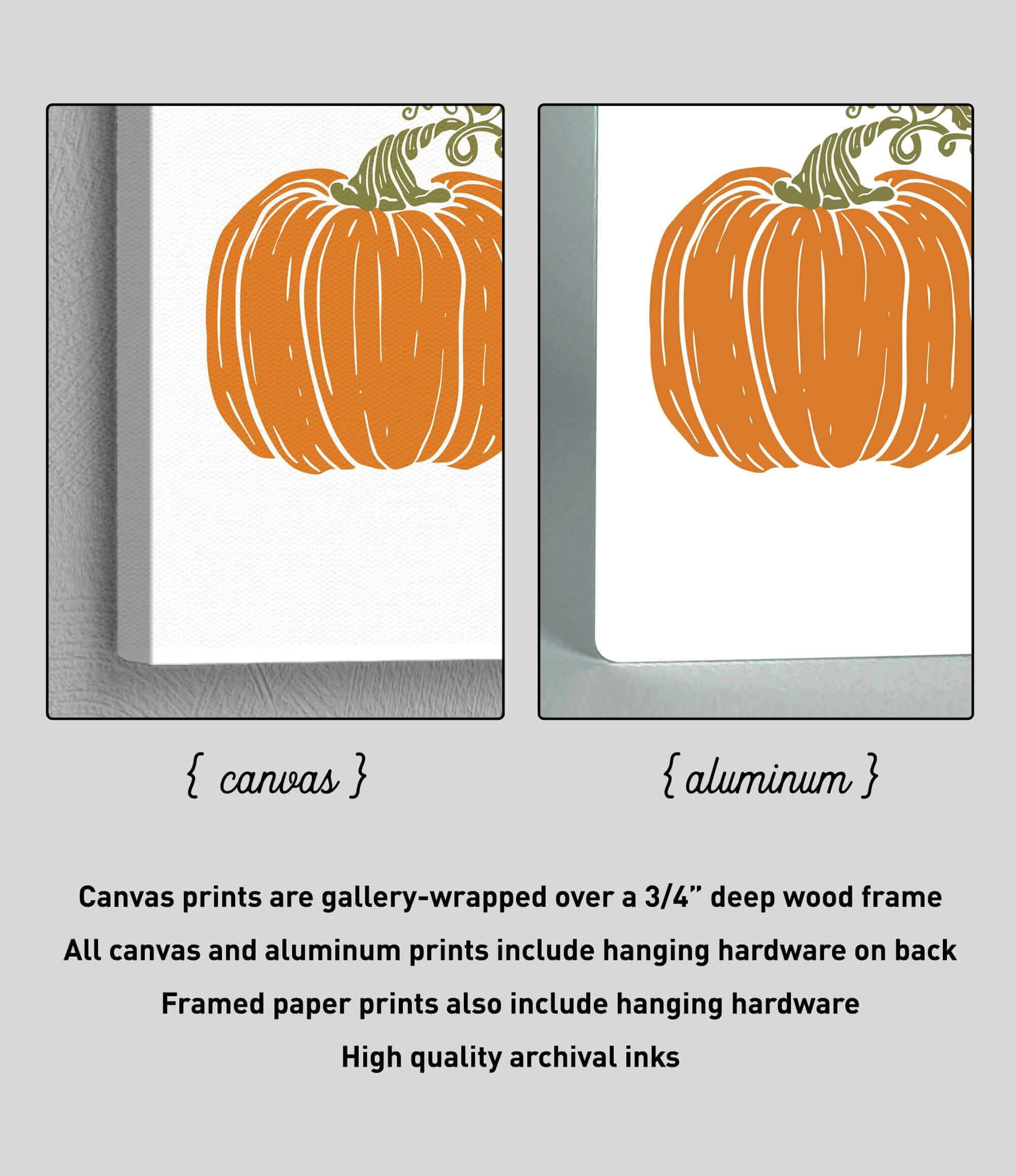 a picture of an orange pumpkin on a white background