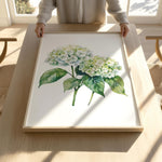 A person is holding up a framed painting of two white hydrangea flowers with green leaves on a wooden table.