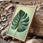 A framed image of a large green leaf is displayed on a rocky beach, with the natural elements of the beach and the leaf creating a serene and tranquil scene.