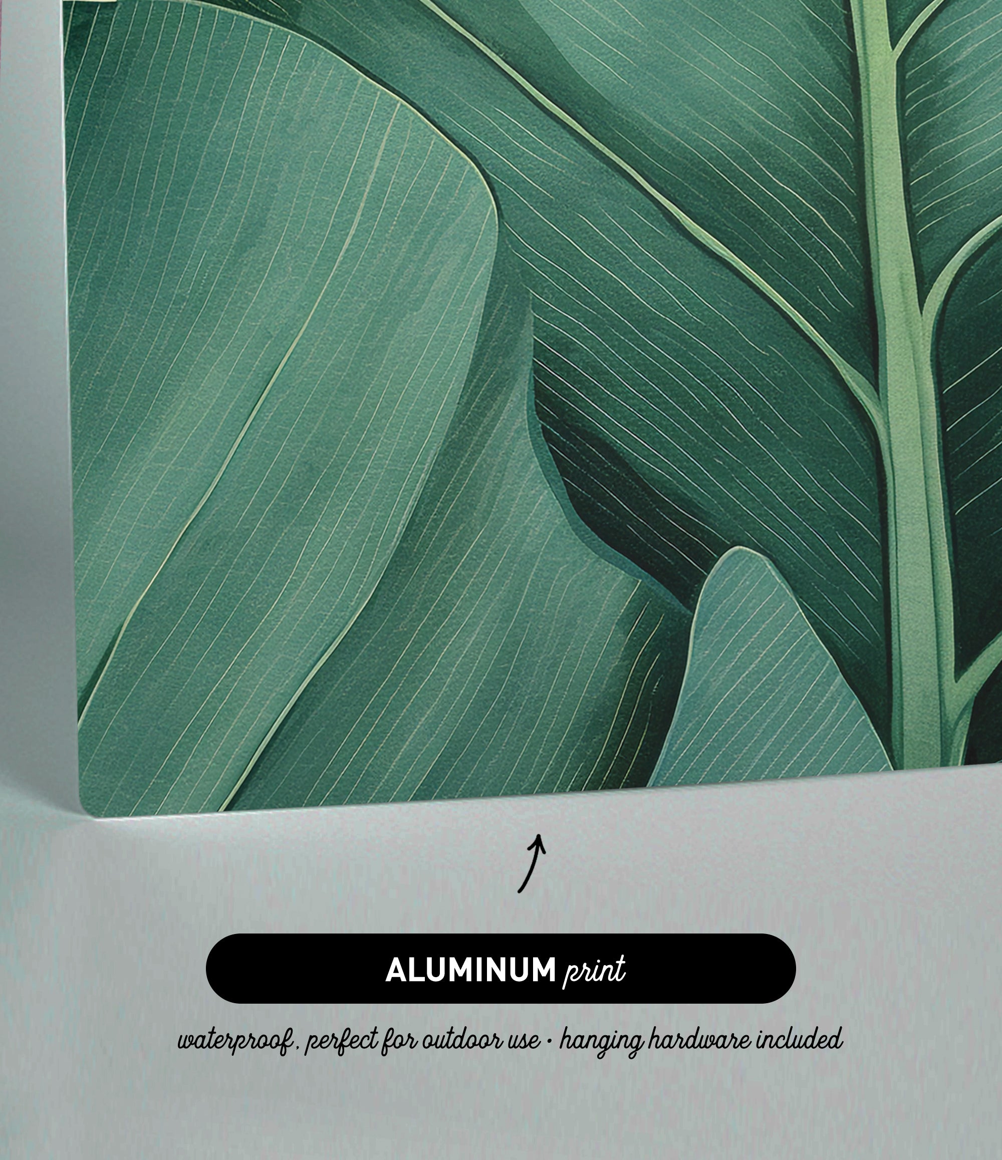 The image is an aluminum print featuring a close-up view of a large green leaf with intricate patterns.