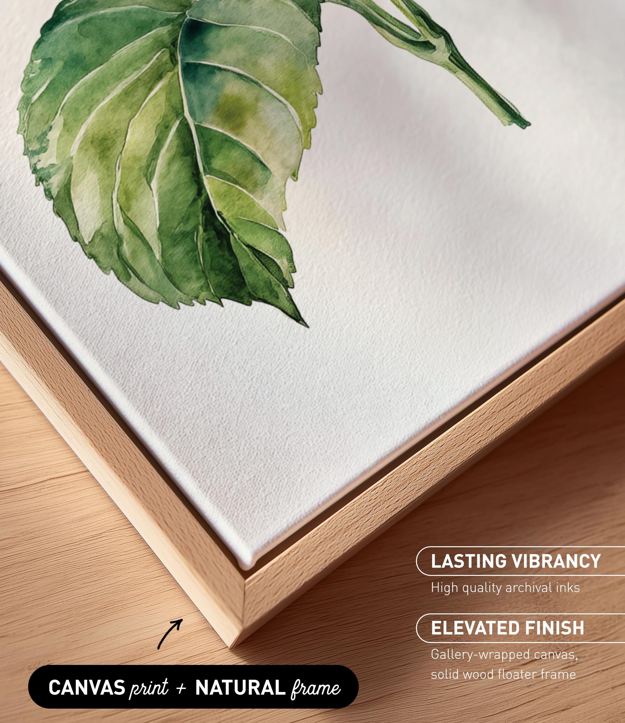 a close-up view of a watercolor painting of a green leaf on a white background.