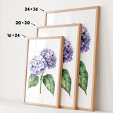 three framed prints of a purple hydrangea flower, each with a different size and frame.