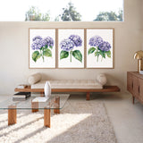 a modern living room with a glass coffee table, a wooden bench, and three framed watercolor paintings of purple hydrangeas hanging on the wall above the bench.