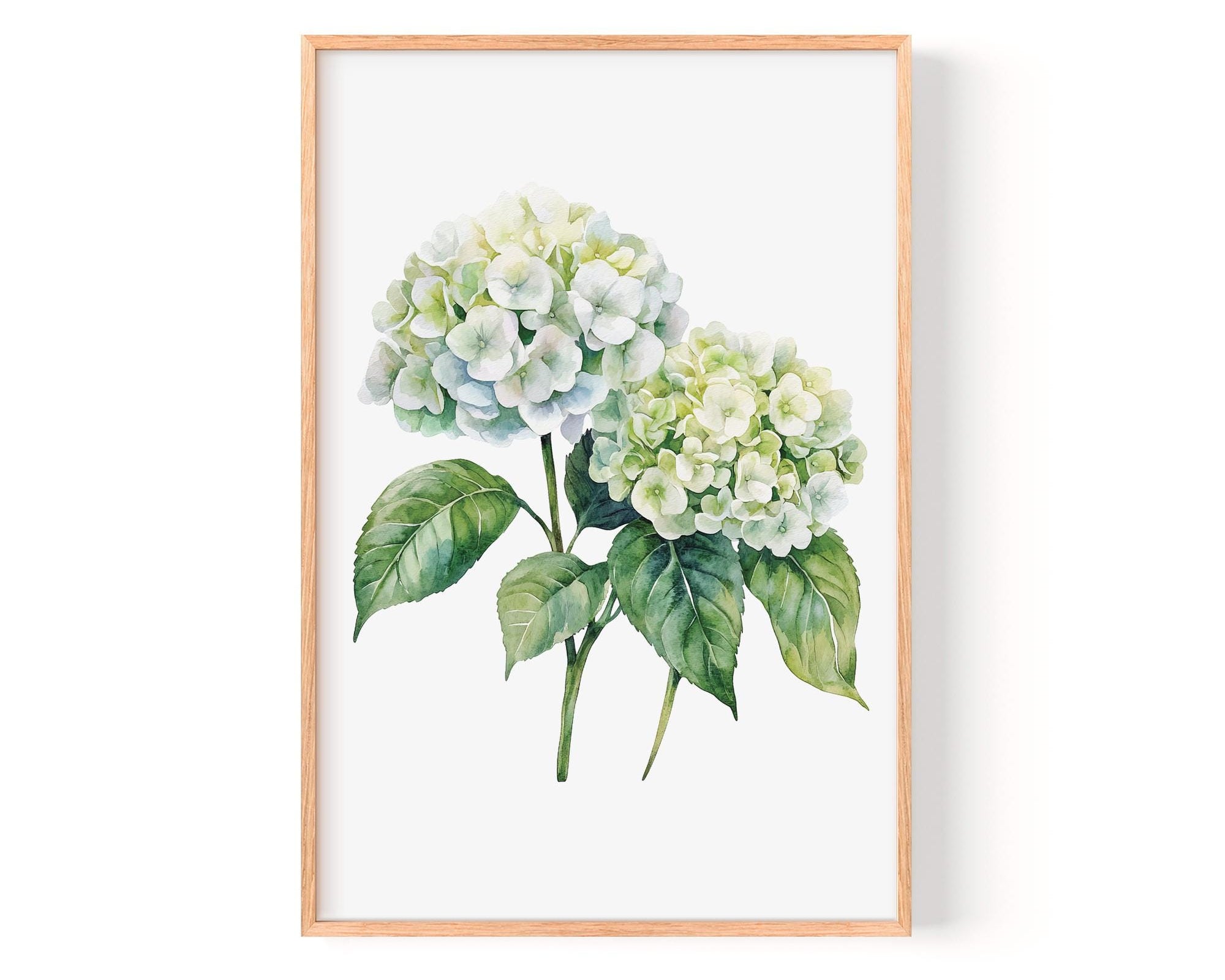 A framed watercolor painting depicting two white hydrangea flowers with green leaves.