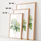 three framed prints of a watercolor painting of white hydrangea flowers, each with a different size and frame.