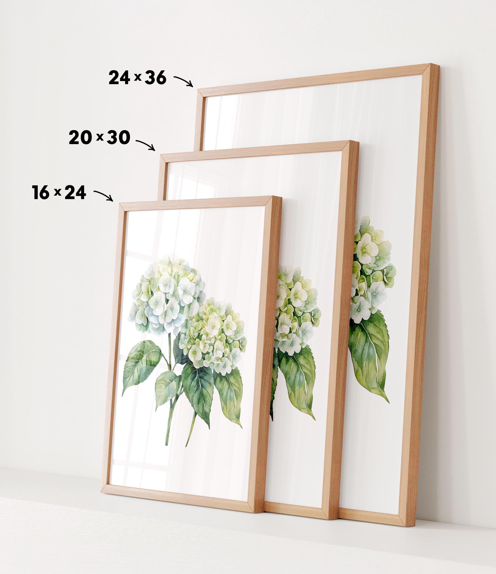 three framed prints of a watercolor painting of white hydrangea flowers, each with a different size and frame.
