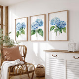 a cozy living room with a wicker chair, a white dresser, and three framed watercolor paintings of blue hydrangeas hanging on the wall.