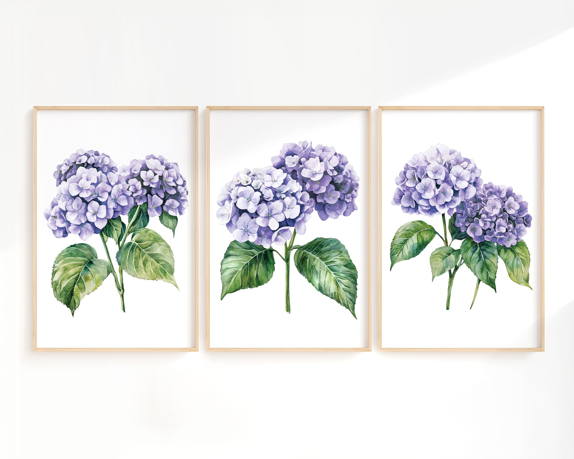 three framed watercolor paintings of purple hydrangea flowers.