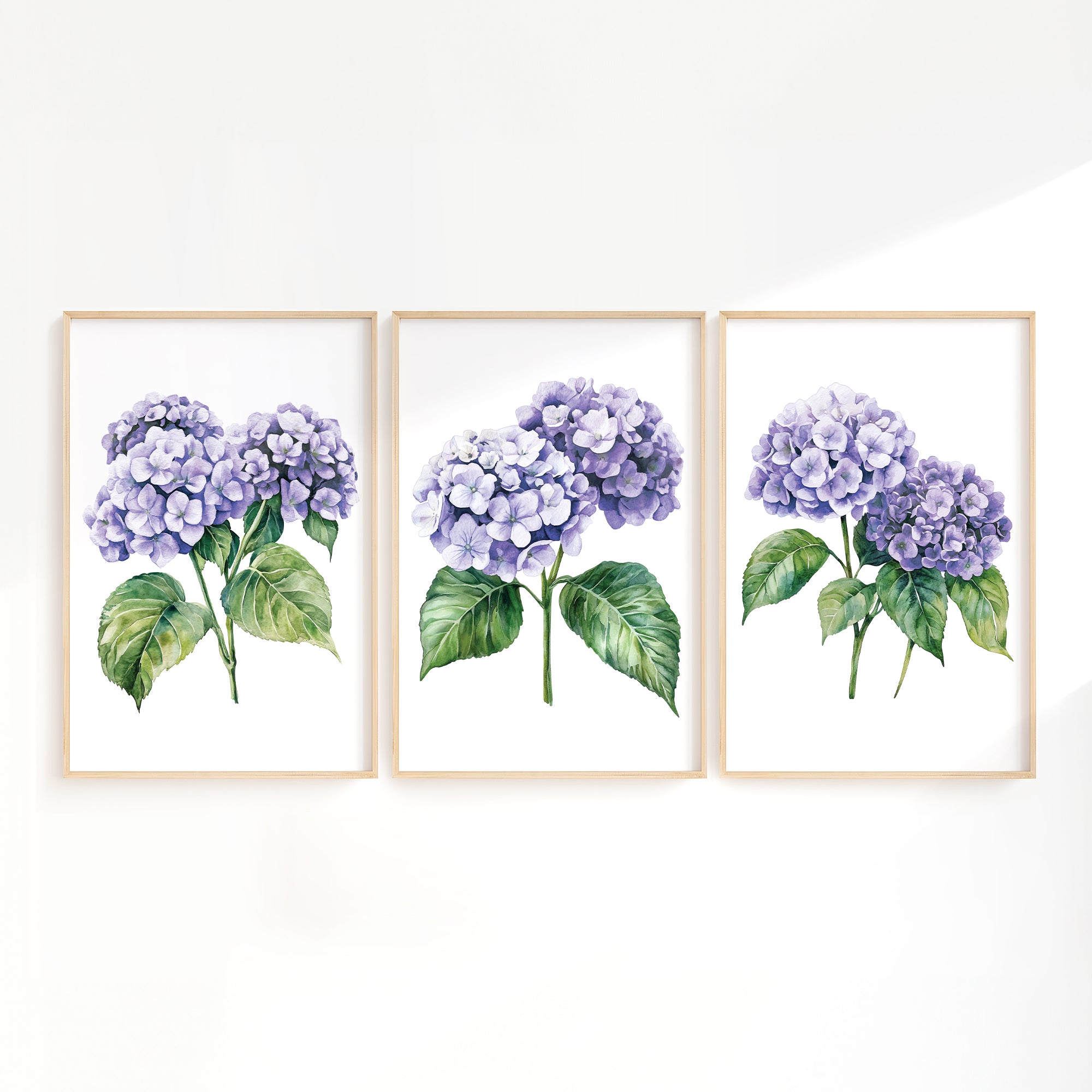 three framed watercolor paintings of purple hydrangea flowers.