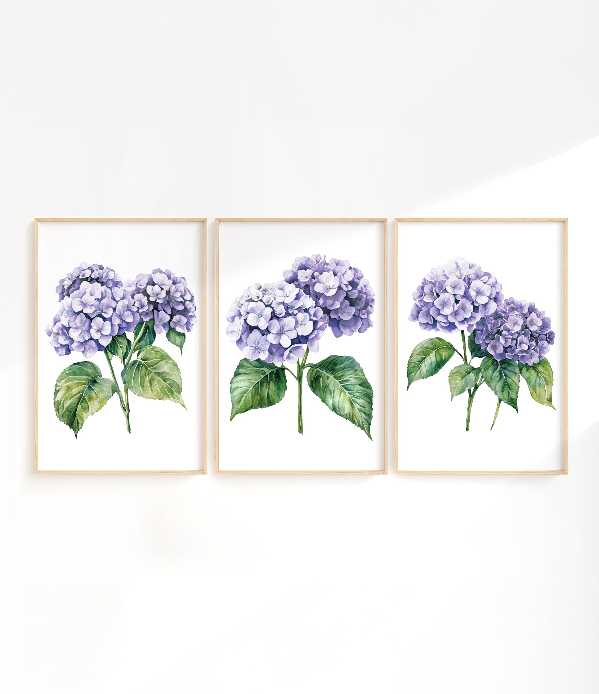 three framed watercolor paintings of purple hydrangea flowers.
