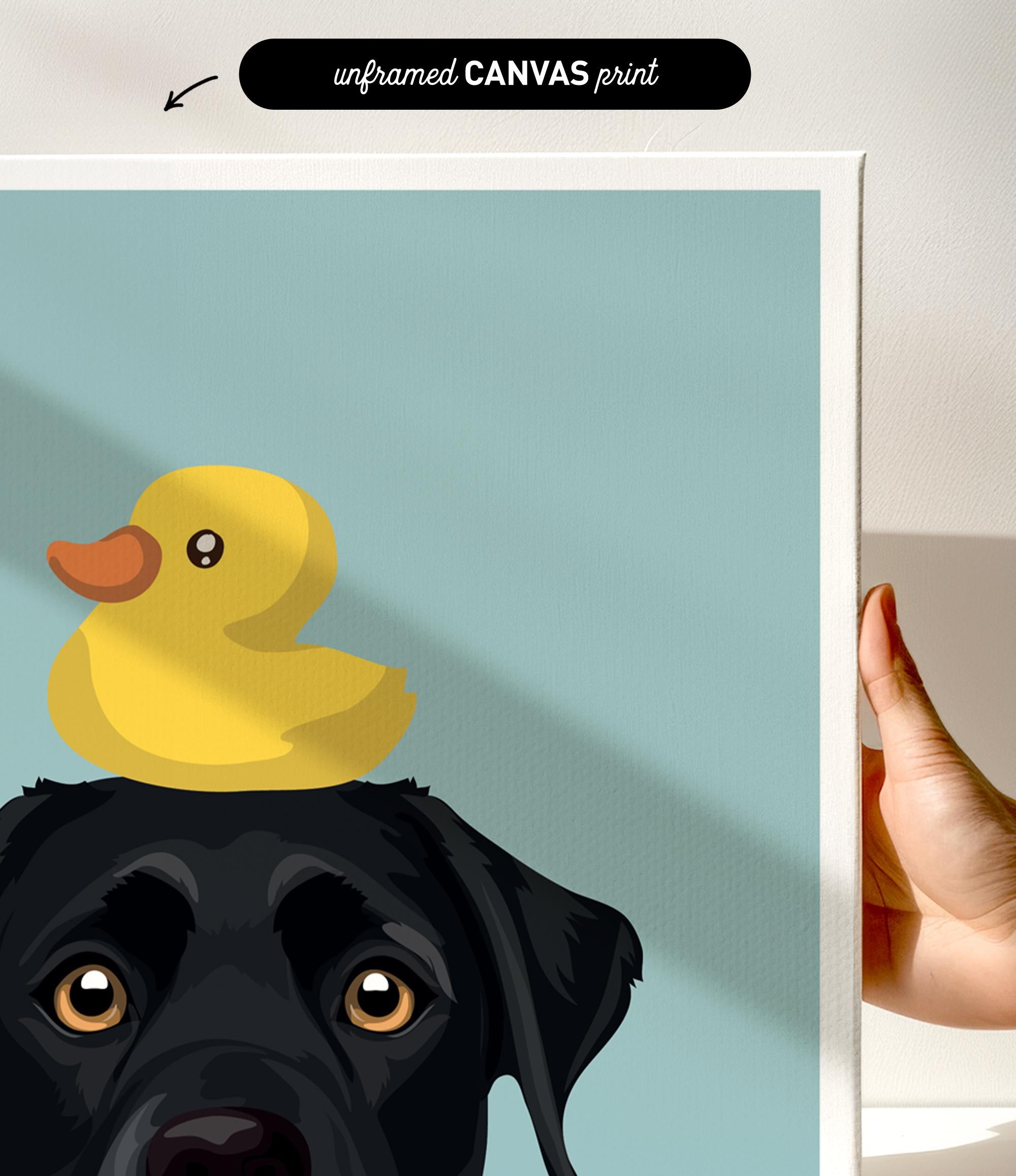 A black dog with a yellow rubber duck perched on its head.