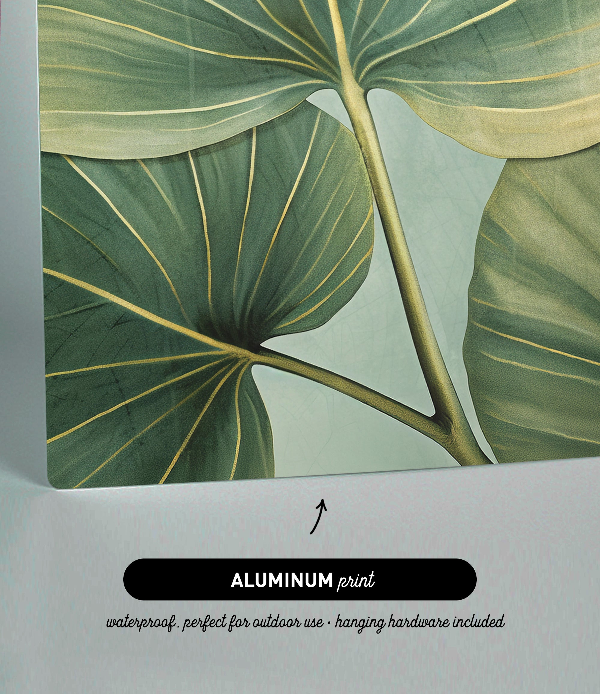The image is an aluminum print featuring a close-up view of a leaf with intricate patterns and textures.