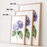 three framed prints of a purple hydrangea flower, each with a different size and frame.