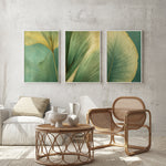 a modern living room with a white sofa, a wicker coffee table, and three framed leaf art pieces on the wall.