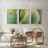 a modern living room with a white sofa, a wicker coffee table, and three framed leaf art pieces on the wall.