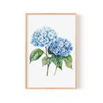 A framed watercolor painting depicting two blue hydrangea flowers with green leaves.