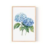 A framed watercolor painting depicting two blue hydrangea flowers with green leaves.