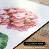 a close-up of a watercolor painting of a pink flower on a white background.
