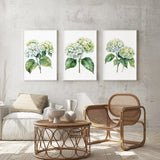 a cozy living room with a wicker coffee table, a wooden chair, and three framed watercolor paintings of white hydrangeas hanging on the wall above the seating area.
