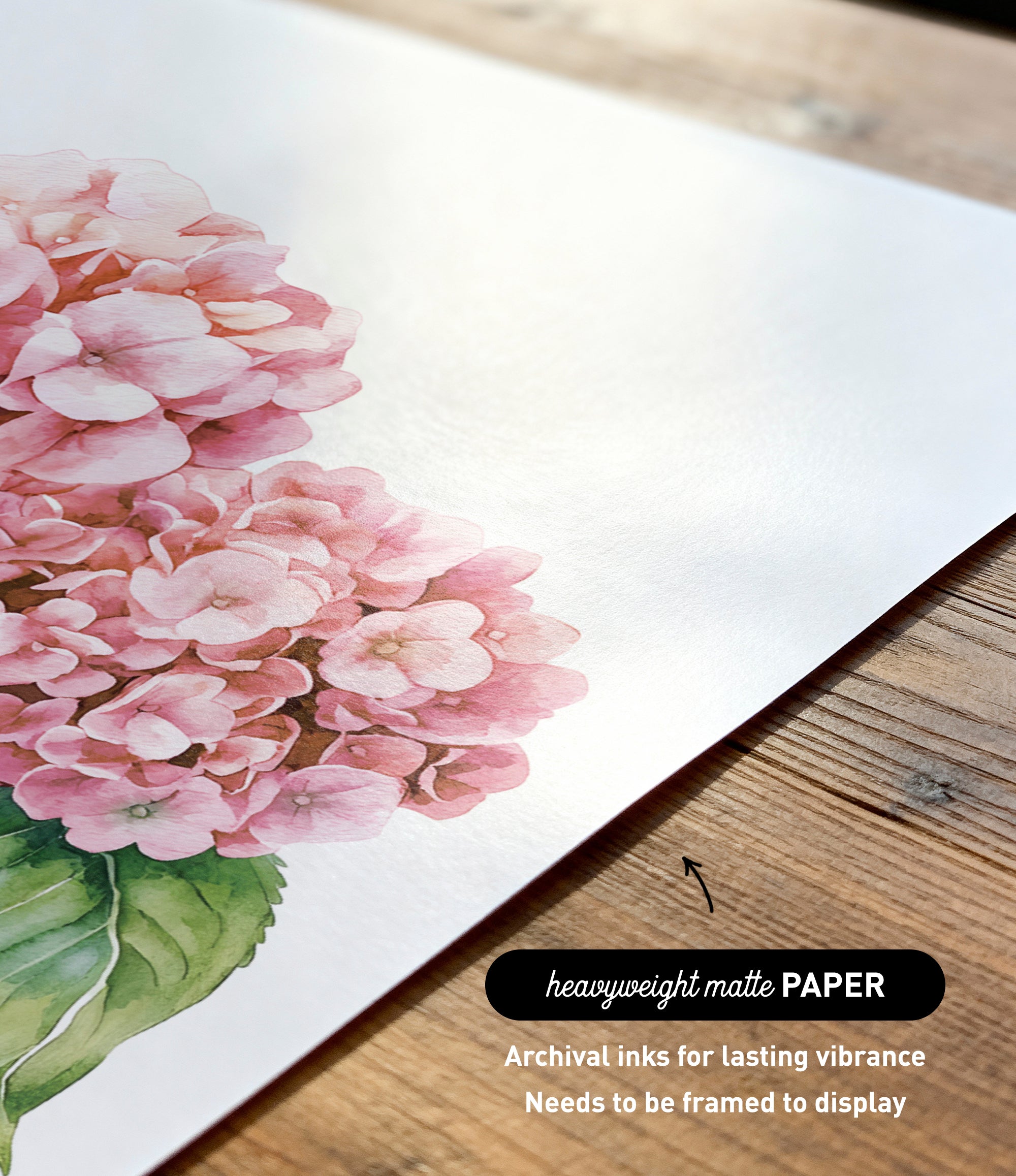 a close-up view of a watercolor painting of a pink hydrangea flower on a white background.