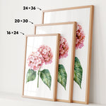 three framed prints of a pink hydrangea flower, each with a different size and frame.