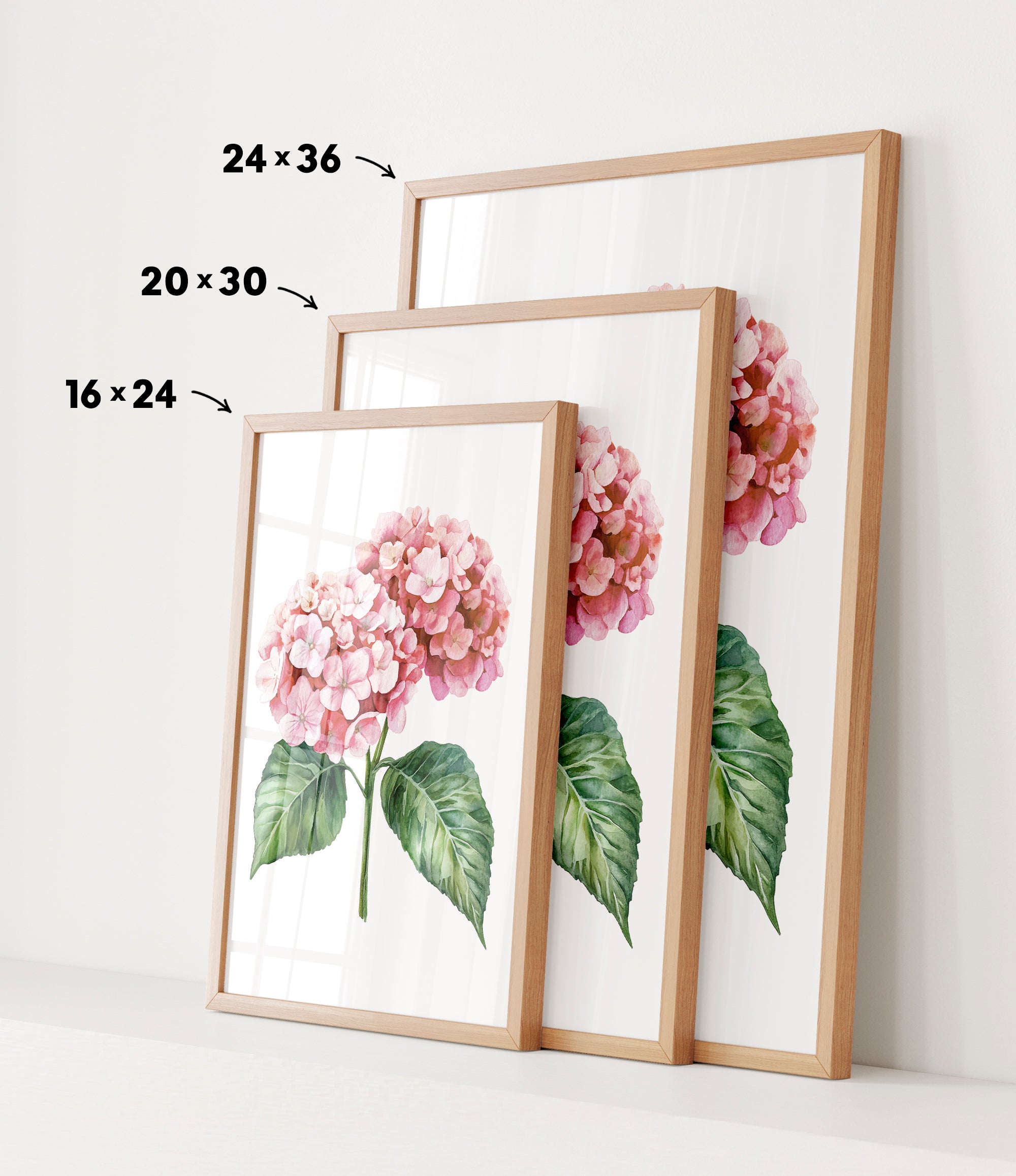 three framed prints of a pink hydrangea flower, each with a different size and frame.